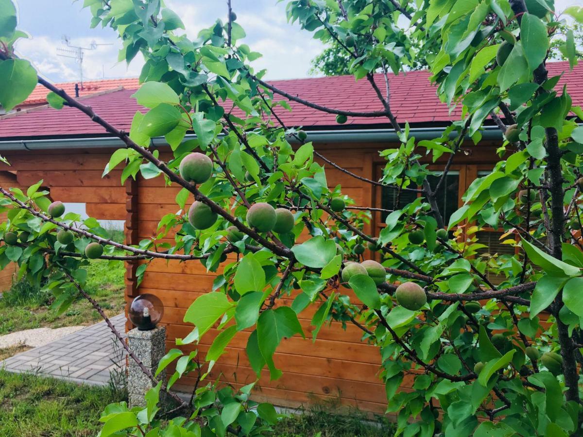 Ubytovani U Lisaka Foxe Villa Bulhary Eksteriør billede